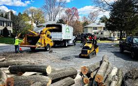 Best Hazardous Tree Removal  in Silver Springs Shores, FL